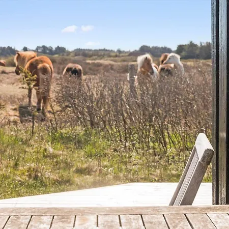 Ln1229-hjorring-udemarken-24 Casa vacanze *